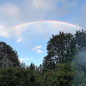 Rainbow view from Mary and Pete’s property