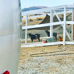 High Desert Look Out & Baby Goats!