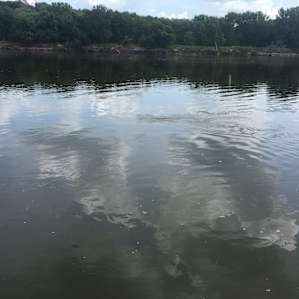 The river