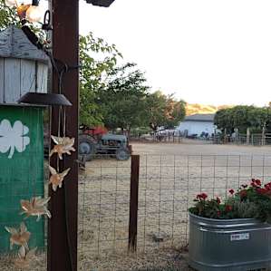 View from little house