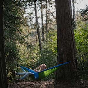 Kick back and relax, the trees are here for YOU.
