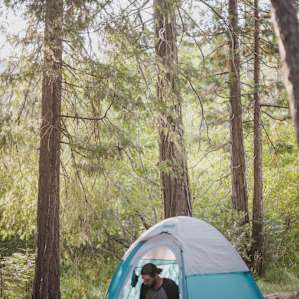 tent forest people
