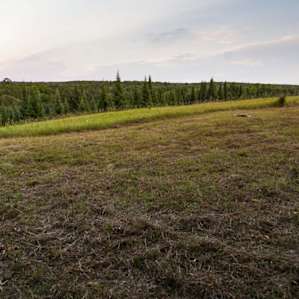 Hilltop View
