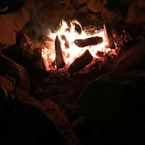 Serene Camping on Working Farm