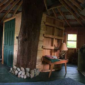 Panoramic view inside the treehouse