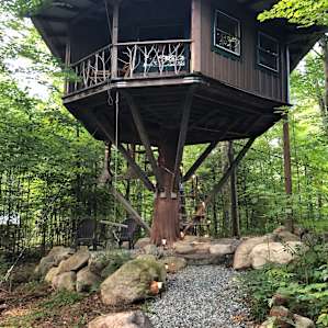 The treehouse
