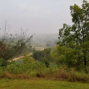 Healing Hills