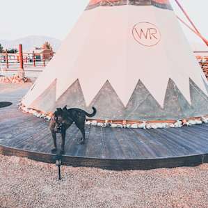 18' Tipi on Working Ranch