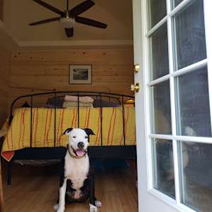 Cute cabin with indoor plumbing and a big yard for our dog to explore.