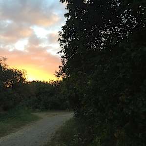 trail thru the campground