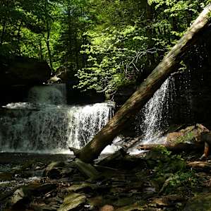 One of the many falls.