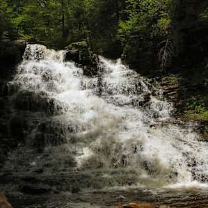 And more. Watch out-the trail gets slippery!