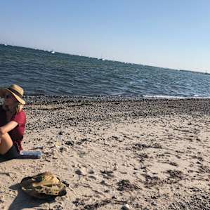 Beach just past Craigville Beach