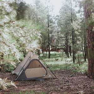 tent forest lodging