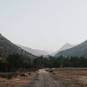 The view from the driveway