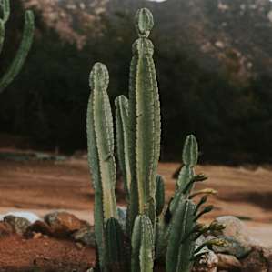 289 Acres With Epic Views