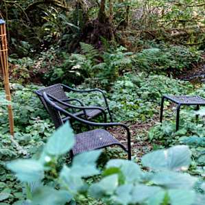 Peaceful retreat by the creek.