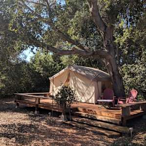 Oak Haven/ Branch Mill Organic Farm