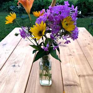Bicycle Farm - rural retreat
