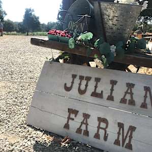 Raspberry picking at Julian Farm and Orchard in Wynola a bit farther than Julian.