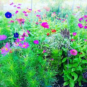 BEAUTIFUL garden !!!