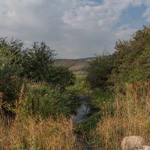 Echo Island Ranch