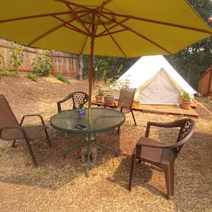 Sunny & fences/surroundings are beautified with plants & decor