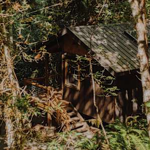 Very secluded and hidden, this is the view from behind the cabin near the waterfall and other tent sites.