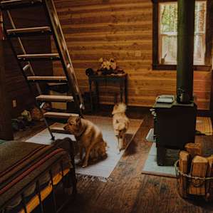The other side of the cabin, near the front door.