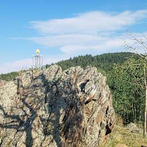 Bear Mountain DGC & Forest Preserve