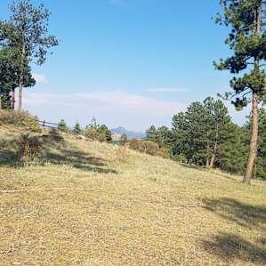 Disc Golf Oasis w/ 360 Degree Views