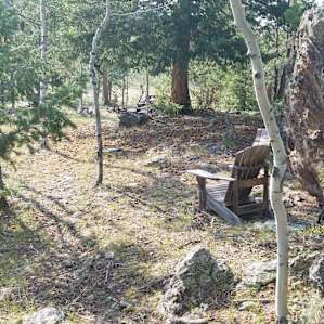 Bear Mountain DGC & Forest Preserve