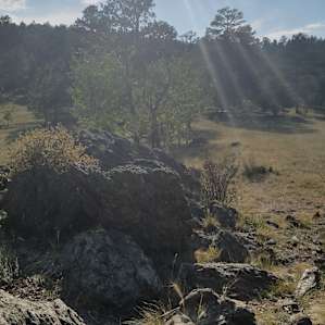 Disc Golf Oasis w/ 360 Degree Views