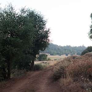 Julian Backcountry Retreat