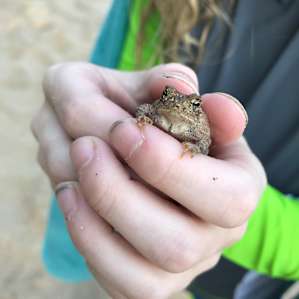 Adirondack Acres Trail & Camps