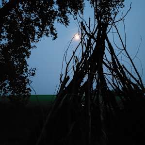 Structure at campsite