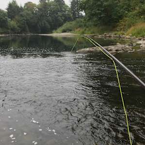 RIVER-CREEK