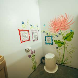 Not your standard pit toilet