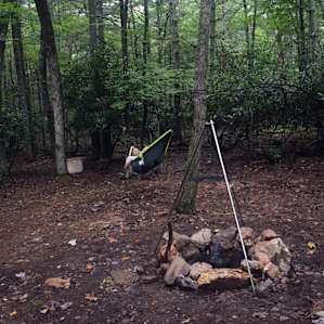 Plenty of trees for a hammock