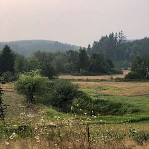 Meadow View Glamping Cottages