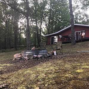 Secluded River Cabin