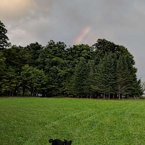 Tent sites at Sandiwood Farm