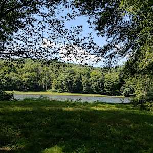Riverfront Camspite
