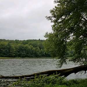 Riverfront Camspite