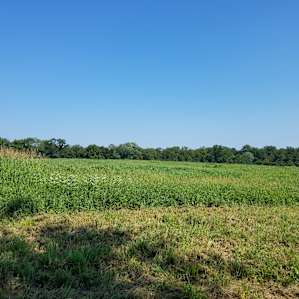 Red Bell Farms