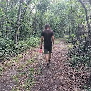 Forest Meditation Sanctuary