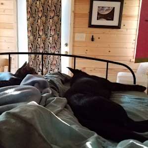 Happy, sleepy family