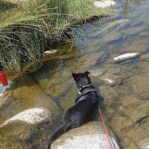 Nearby water