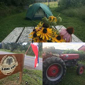 Quiet Veg. Farm, Brewery Next Door