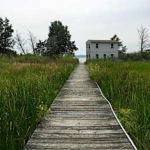 Kitts Marsh on Patuxent River